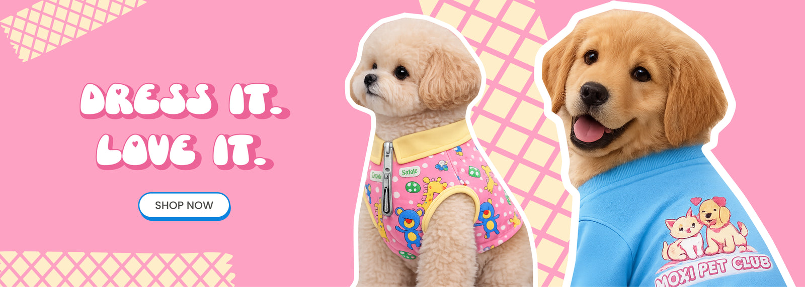Shop affordable pet accessories online at Dupih India — collars, toys, beds and feeders