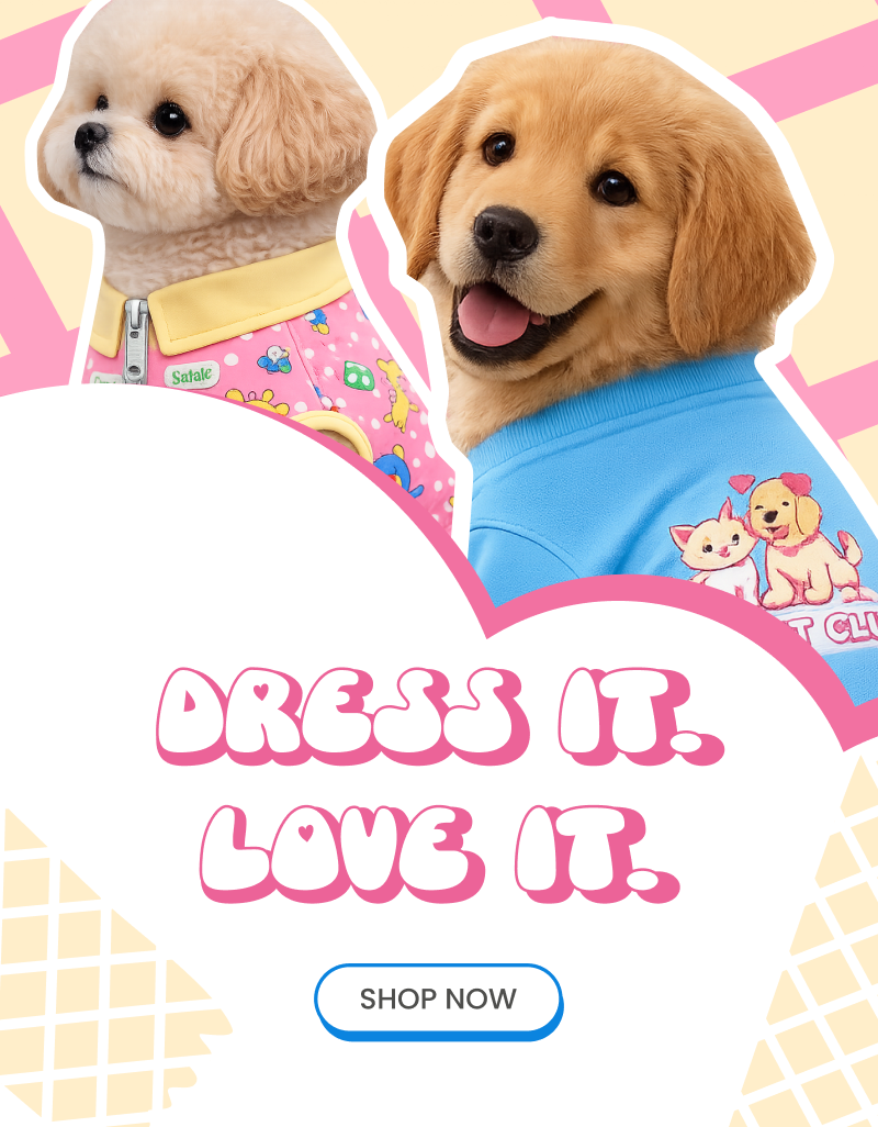 Dupih — affordable pet collars, toys and beds online in India