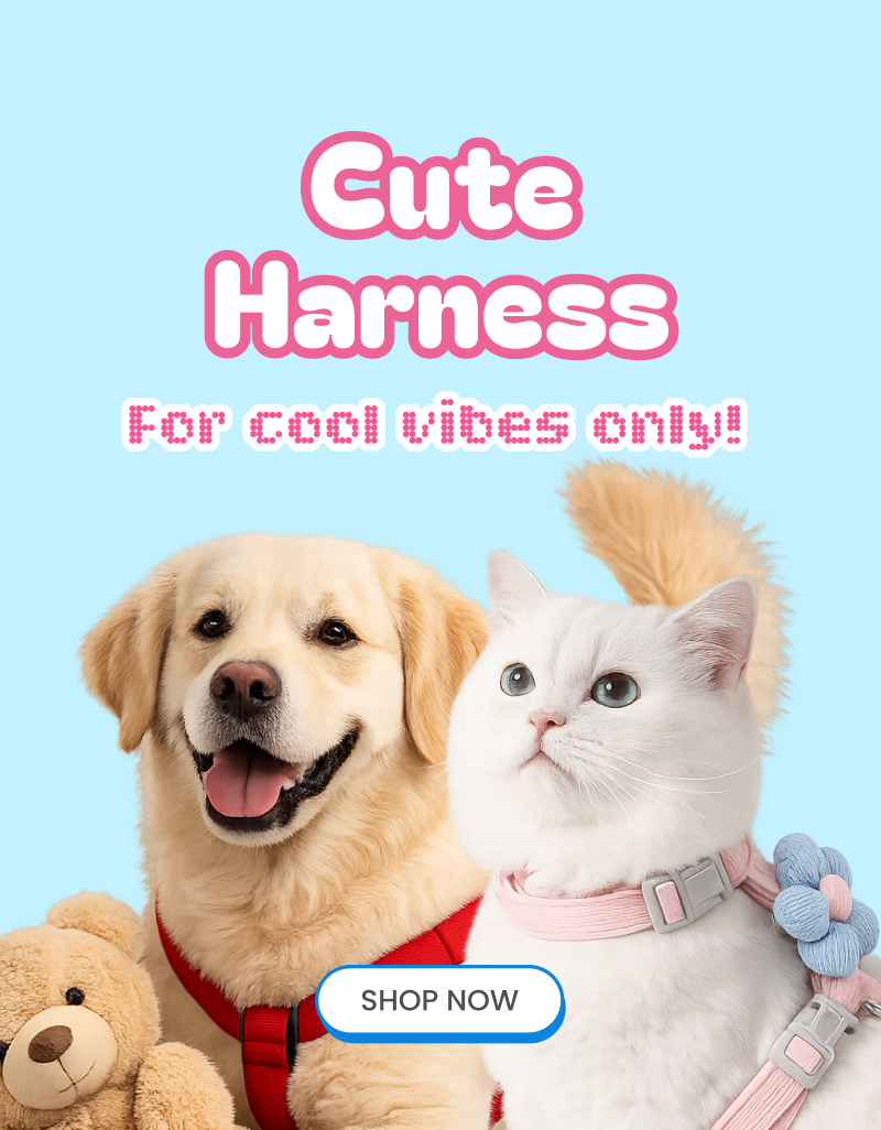 Dupih pet store — pet toys, collars and accessories in India