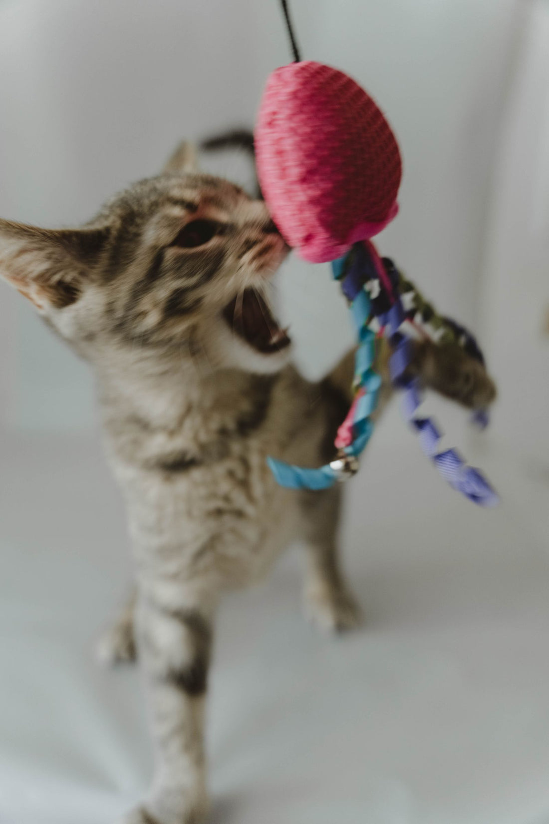 Playful tabby kitten pouncing on a pink toy mouse — best kitten toys in India under ₹300