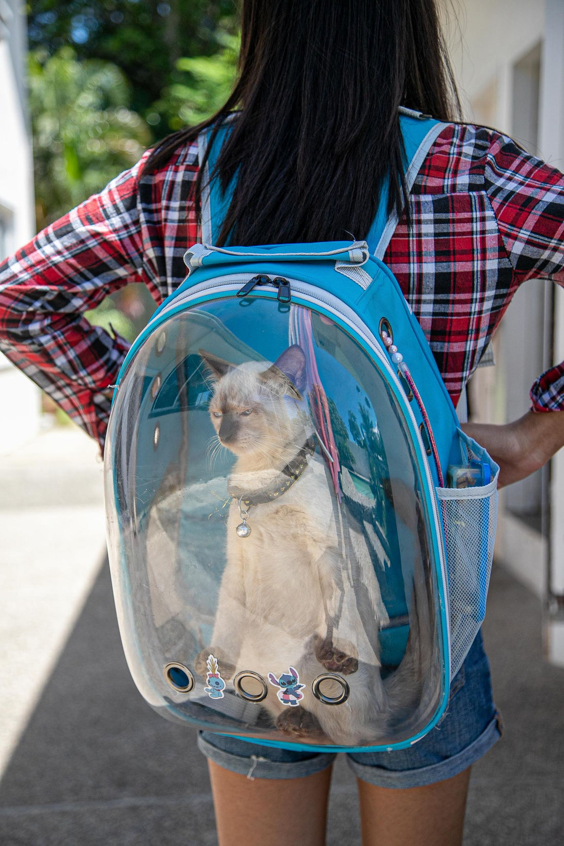 Woman carrying her cat in a transparent bubble backpack carrier outdoors