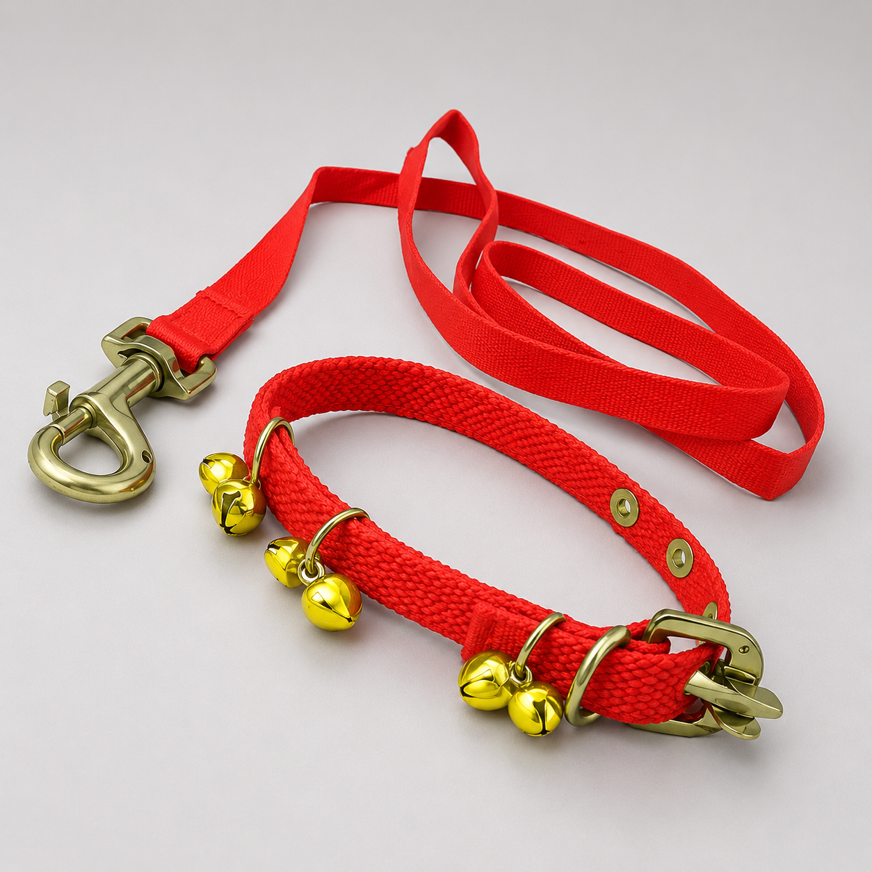 Affordable pet collar and leash set