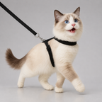 Cat body harness with leash – comfortable escape-proof vest harness