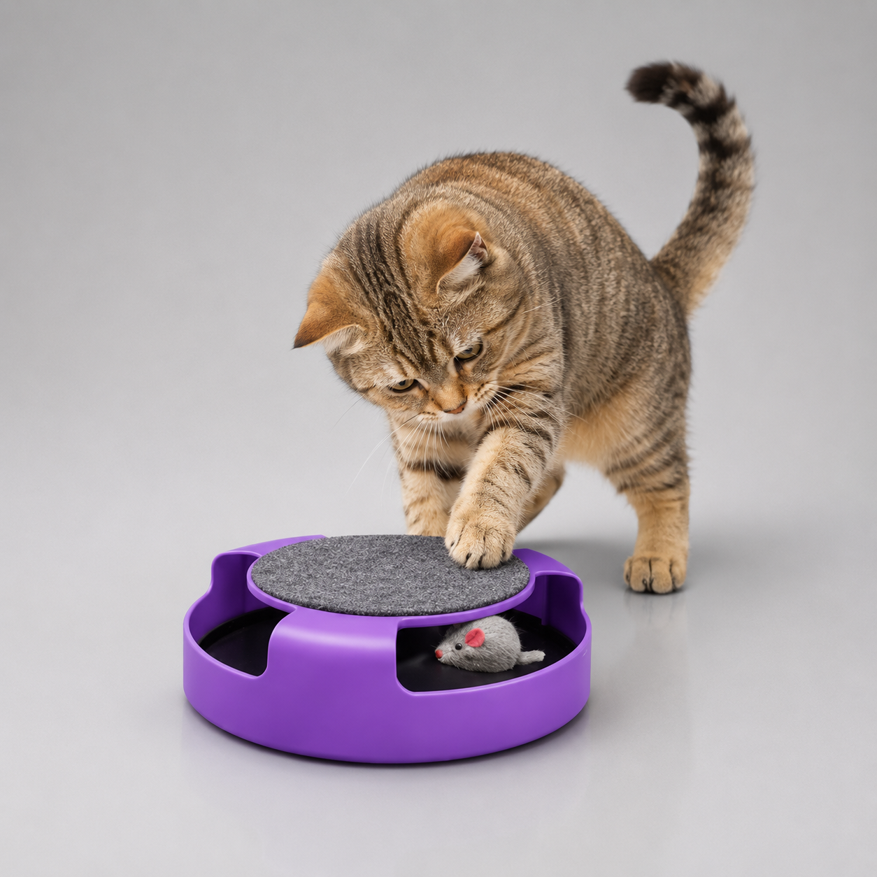 Cat scratcher with mouse toy – cardboard scratch toy for kittens