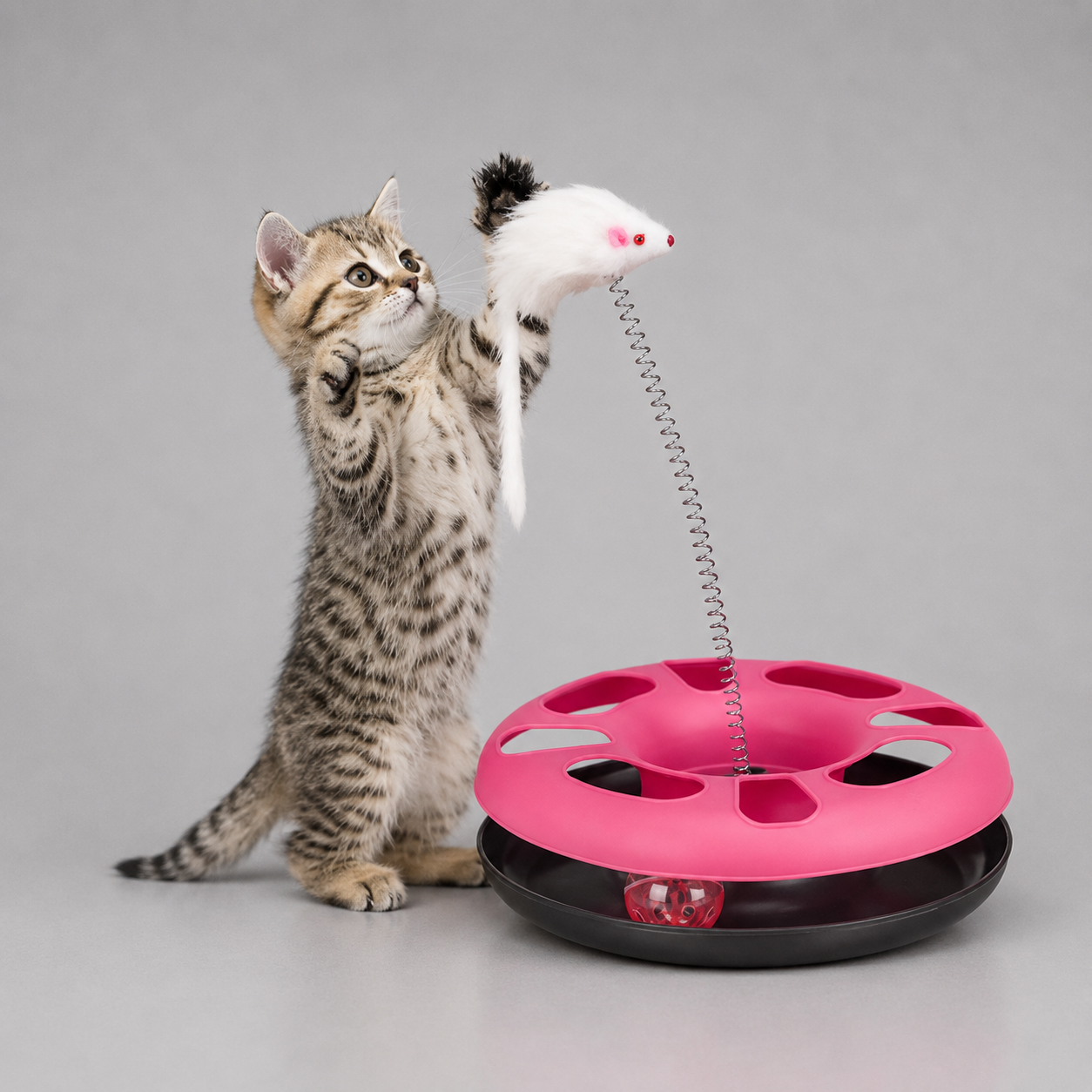 Mouse and ball interactive cat toy – fun chase toy for kittens