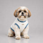 Cotton dog t-shirt with embroidery – cute pet clothing for puppies