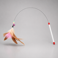 Feather wand cat toy for kittens – interactive teaser toy for cats India