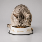 Anti-slip steel dog bowl – non-skid base feeding bowl for pets