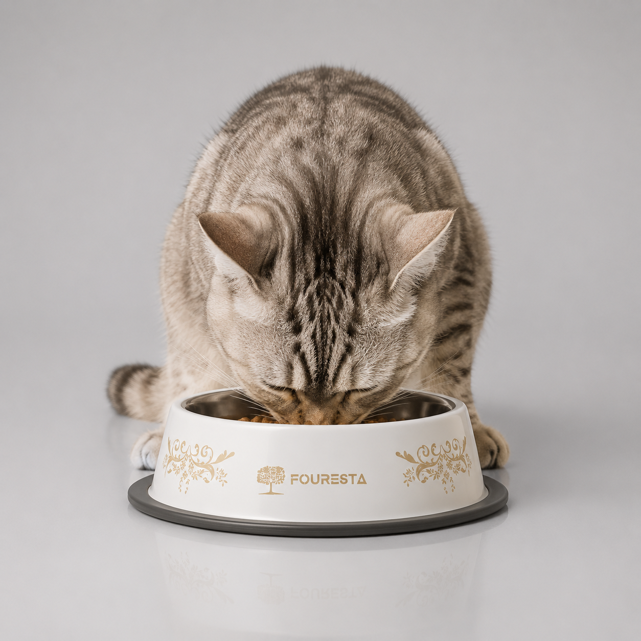 Anti-slip steel dog bowl – non-skid base feeding bowl for pets