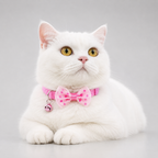 Pink bow cat collar with safety bell – stylish kitten accessory India