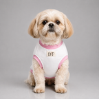 Butterfly print dog t-shirt – soft embroidered tee for small dogs