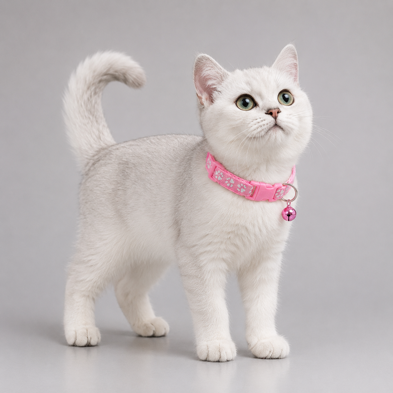 Bow and bell cat collar – adjustable soft collar for cats and kittens