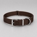 Premium nylon dog collar – adjustable durable collar for small and large dogs India