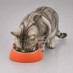 Steel pet food bowl – durable hygienic feeding bowl for dogs and cats